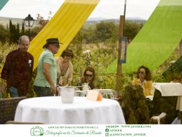 Festival Mar de Tethys 2026 - Bodega Vetas